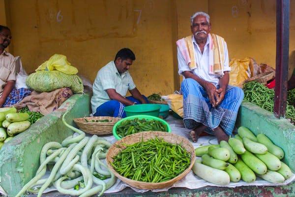 Exploring the Bounty: A Journey to the Farmers Market Near Me